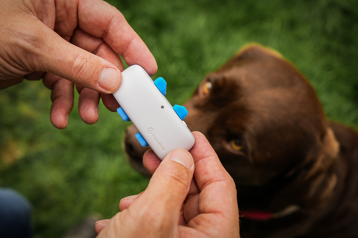 Tractive – GPS-Tracker für Hunde im Test